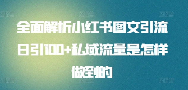 全面解析小红书图文引流日引100私域流量是怎样做到的网赚项目-副业赚钱-互联网创业-资源整合惰昔网创
