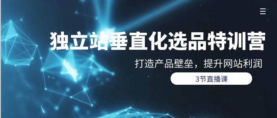独立站-垂直化选品训练营，打造产品壁垒，提升网站利润（3节直播课）网赚项目-副业赚钱-互联网创业-资源整合惰昔网创