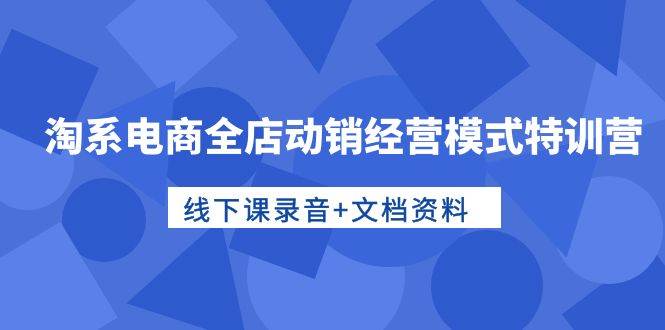 淘系电商全店动销经营模式特训营，线下课录音+文档资料网赚项目-副业赚钱-互联网创业-资源整合惰昔网创