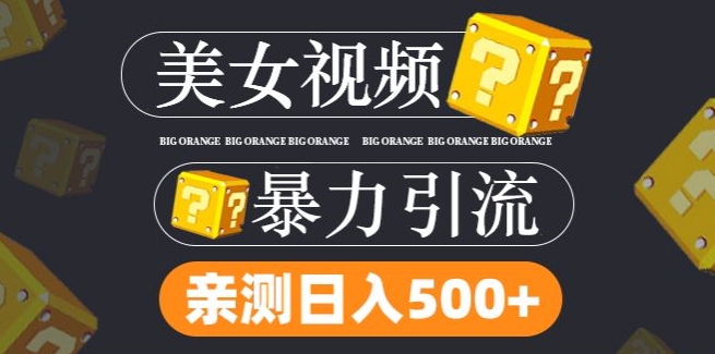 搬运tk美女视频全网分发，日引s粉300+，轻松变现，不限流量不封号【揭秘】网赚项目-副业赚钱-互联网创业-资源整合惰昔网创