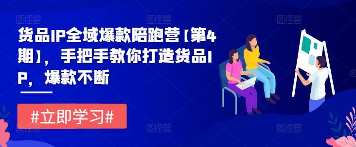 货品IP全域爆款陪跑营【第4期】，手把手教你打造货品IP，爆款不断网赚项目-副业赚钱-互联网创业-资源整合惰昔网创