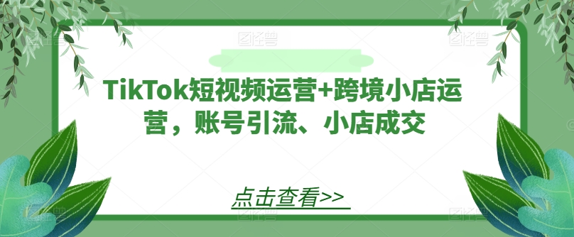 TikTok短视频运营+跨境小店运营，账号引流、小店成交网赚项目-副业赚钱-互联网创业-资源整合惰昔网创