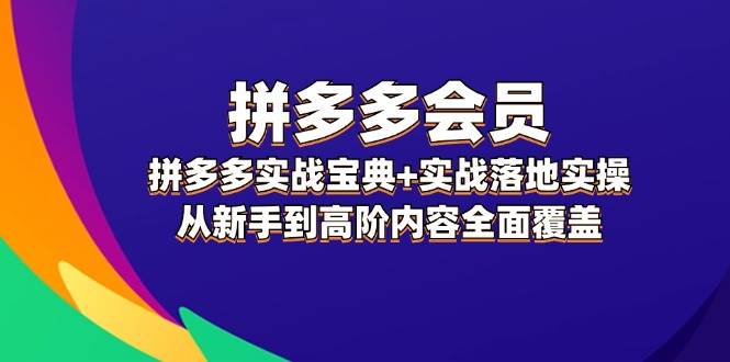 拼多多 会员，拼多多实战宝典+实战落地实操，从新手到高阶内容全面覆盖网赚项目-副业赚钱-互联网创业-资源整合惰昔网创
