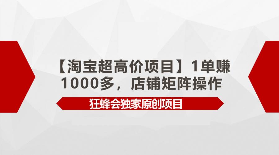 【淘宝超高价项目】1单赚1000多，店铺矩阵操作网赚项目-副业赚钱-互联网创业-资源整合惰昔网创