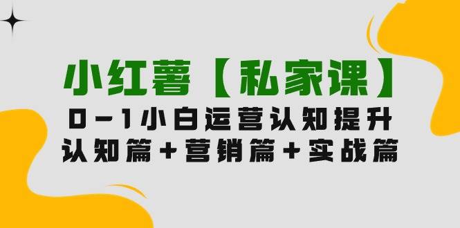 小红薯【私家课】0-1玩赚小红书内容营销，认知篇+营销篇+实战篇（11节课）网赚项目-副业赚钱-互联网创业-资源整合惰昔网创