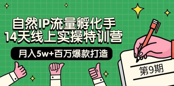 自然IP流量孵化手 14天线上实操特训营【第9期】月入5w+百万爆款打造 (74节)网赚项目-副业赚钱-互联网创业-资源整合惰昔网创