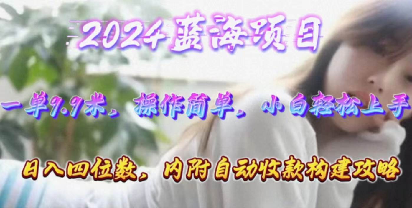 年轻群体的蓝海市场，1单9.9元，操作简单，小白轻松上手，日入四位数网赚项目-副业赚钱-互联网创业-资源整合惰昔网创
