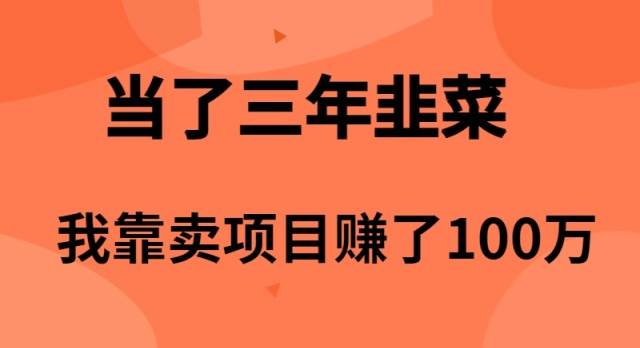 当了3年韭菜，我靠卖项目赚了100万网赚项目-副业赚钱-互联网创业-资源整合惰昔网创